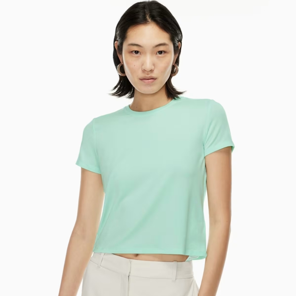 Aritzia Babaton Tee